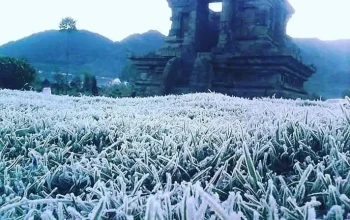 Suhu Dingin di Dieng Juli 2026: Fenomena Alam yang Menarik