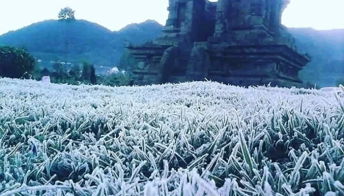 Suhu Dingin di Dieng Juli 2026: Fenomena Alam yang Menarik