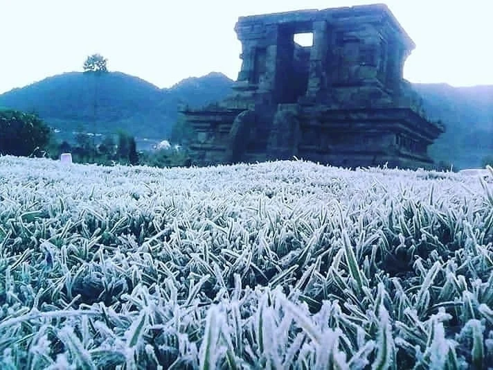 Suhu Dingin di Dieng Juli 2026: Fenomena Alam yang Menarik