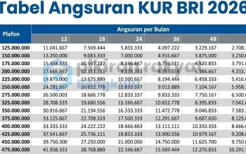 Tabel Pinjaman KUR BRI Juli 2026: Simulasi Angsuran dan Syarat Pengajuan