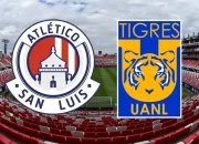 Tigres UANL Siap Tantang Atletico San Luis di Liga MX Apertura 2026