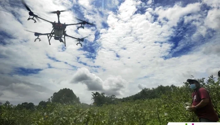 Video yang Menghebohkan: Dari Pertandingan Sepak Bola Hingga Petani Terbang Pakai Drone