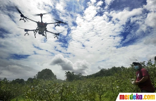 Video yang Menghebohkan: Dari Pertandingan Sepak Bola Hingga Petani Terbang Pakai Drone