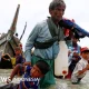Vietnam dan Myanmar di Tengah Konflik dan Bencana: Dari Rohingya hingga Pertandingan Voli