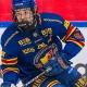 Viggo Bjorck, Pemain Muda Djurgardens, Menandatangani Kontrak dengan Winnipeg Jets