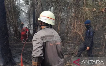 Berita Terkini: Kebakaran Hutan, Pertandingan Sepak Bola, dan Upacara Penghargaan