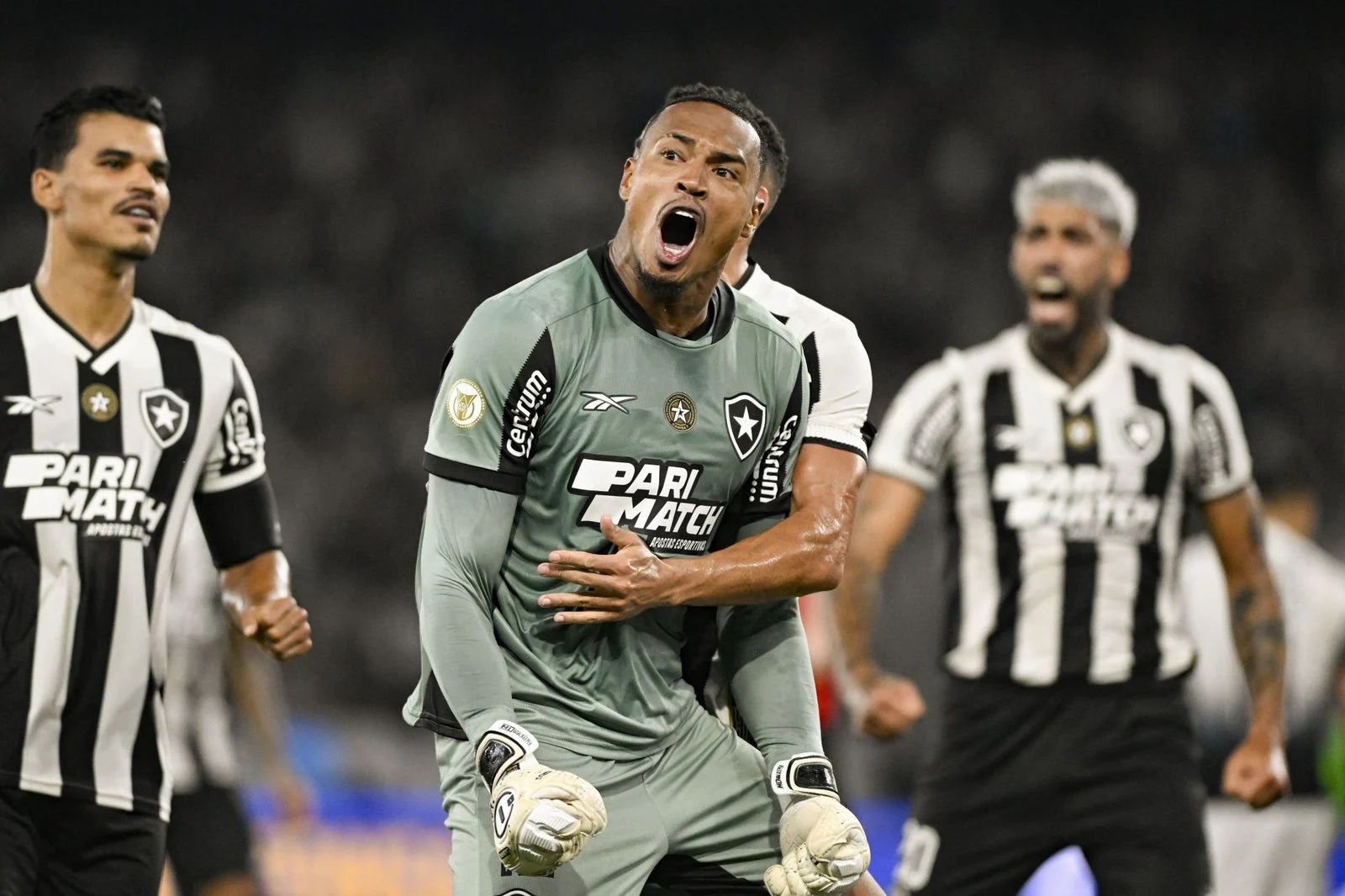 Botafogo dan Fluminense Berbagi Poin dalam Laga Seru