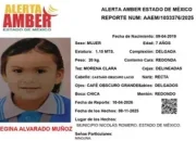 Desaparición de Menores en Nicolás Romero: Alerta Amber Activada