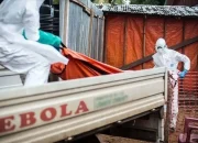 Ebola di Uganda dan Tottenham Hotspur: Dua Berita yang Menghebohkan