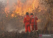 Empat Remaja Ditangkap atas Kebakaran Hutan, Sementara itu Di Dunia Olahraga dan Alam Terbuka