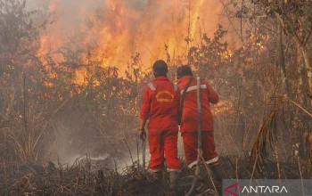 Empat Remaja Ditangkap atas Kebakaran Hutan, Sementara itu Di Dunia Olahraga dan Alam Terbuka