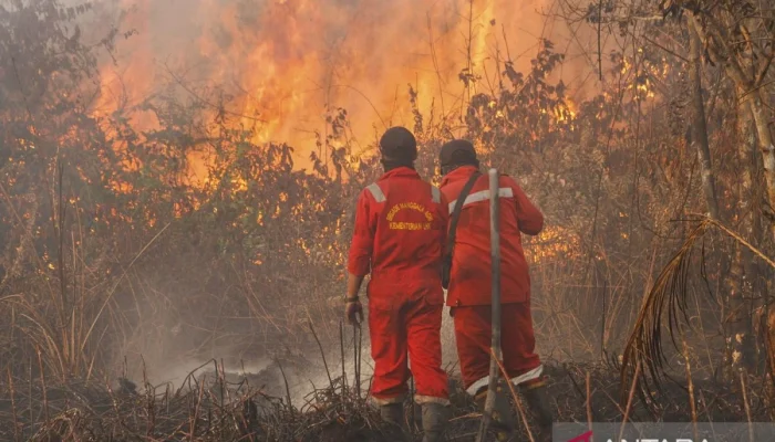 Empat Remaja Ditangkap atas Kebakaran Hutan, Sementara itu Di Dunia Olahraga dan Alam Terbuka