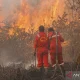 Empat Remaja Ditangkap atas Kebakaran Hutan, Sementara itu Di Dunia Olahraga dan Alam Terbuka
