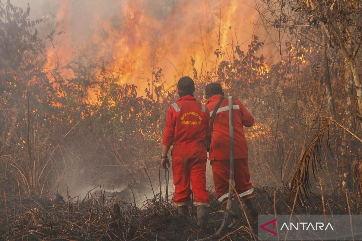 Empat Remaja Ditangkap atas Kebakaran Hutan, Sementara itu Di Dunia Olahraga dan Alam Terbuka