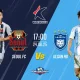 Fc Seoul Vs Ulsan: Kualitas Sepakbola Korea Selatan Dipertanyakan
