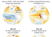 Fenomena Super El Nino 2026: Ancaman Krisis Pangan dan Perubahan Iklim