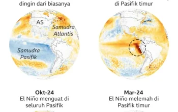 Fenomena Super El Nino 2026: Ancaman Krisis Pangan dan Perubahan Iklim