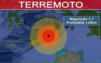 Gempa 7.7 Magnitudo di Indonesia, 38 Orang Tewas dan Ratusan Mengungsi