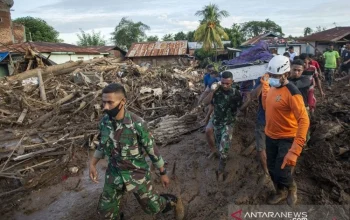 Gempa 7,7 Magnitudo di NTT: Dampak dan Upaya Penanganan