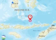 Gempa Bumi 7.7 Magnitudo di NTT: 5 Orang Meninggal, Tsunami Terjadi