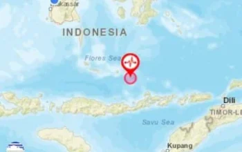 Gempa Bumi 7.7 Magnitudo di NTT: 5 Orang Meninggal, Tsunami Terjadi