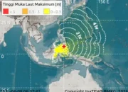 Gempa M7.7 di NTT Picu Tsunami, Warga Diimbau Waspada