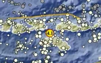 Gempa NTT: Badan Geologi Deteksi Indikasi Likuifaksi, Warga Diminta Waspada