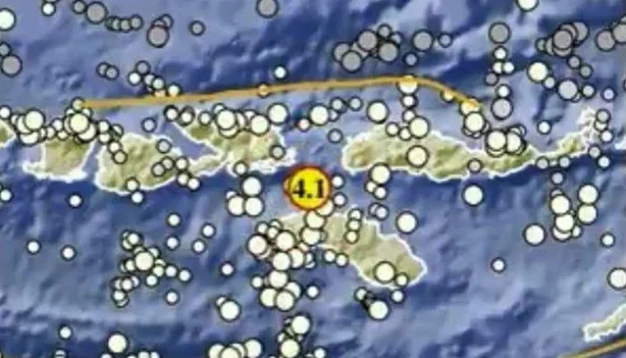 Gempa NTT: Badan Geologi Deteksi Indikasi Likuifaksi, Warga Diminta Waspada
