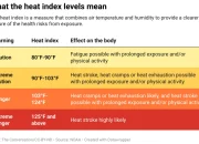 Heat Index Meningkat, Waspada Bahaya Dehidrasi dan Heat Stroke