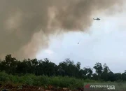 Helikopter Dikerahkan dalam Berbagai Operasi: Dari Pemadaman Kebakaran hingga Latihan Militer