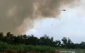 Helikopter Dikerahkan dalam Berbagai Operasi: Dari Pemadaman Kebakaran hingga Latihan Militer