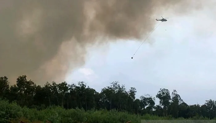 Helikopter Dikerahkan dalam Berbagai Operasi: Dari Pemadaman Kebakaran hingga Latihan Militer