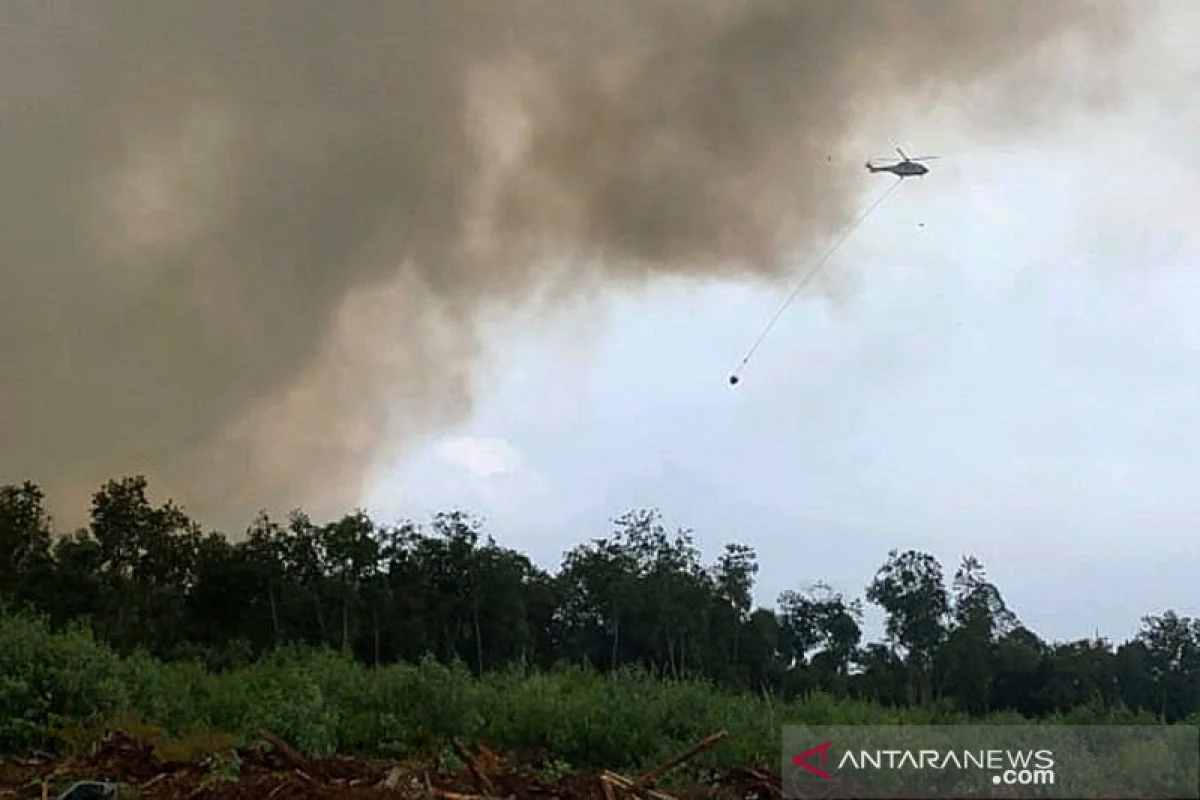 Helikopter Dikerahkan dalam Berbagai Operasi: Dari Pemadaman Kebakaran hingga Latihan Militer
