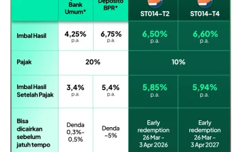 Imbal Hasil Tinggi di Tengah Risiko Kredit, Industri Pindar Masih Menarik Investor Asing