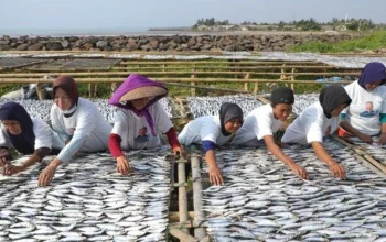 Jala Menjadi Bagian Penting dalam Kehidupan Nelayan dan Masyarakat