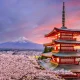 Jepang Menghadapi Badai dan Masalah Lingkungan, Sementara Masyarakat Indonesia Dapat Menikmati Kesempatan Baru
