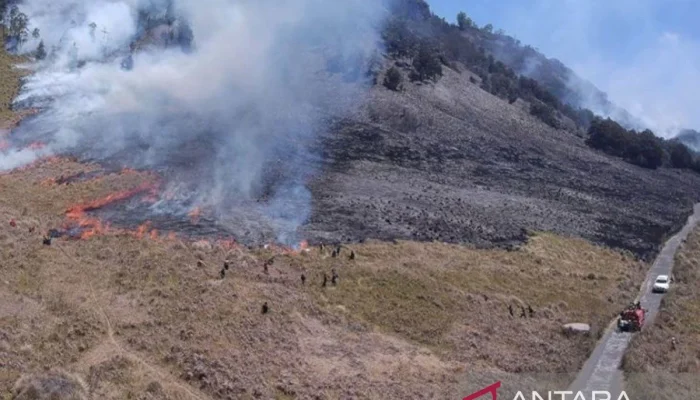 Kebakaran Gunung Bromo: Api yang Terus Meluas dan Dampaknya pada Wisatawan