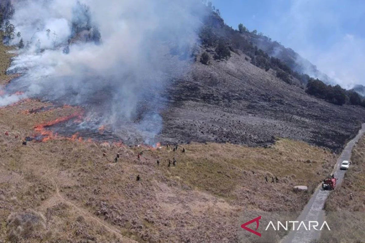 Kebakaran Gunung Bromo: Api yang Terus Meluas dan Dampaknya pada Wisatawan