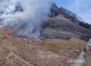 Kebakaran Gunung Bromo: Human Error Dugaan Utama Penyebab Kebakaran
