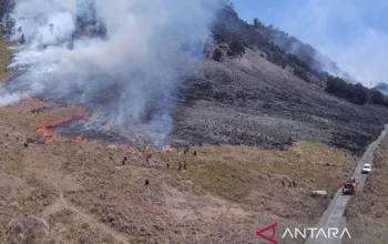Kebakaran Gunung Bromo: Human Error Dugaan Utama Penyebab Kebakaran