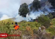 Kebakaran Hutan di Gunung Bromo: Upaya Pemadaman Diperluas