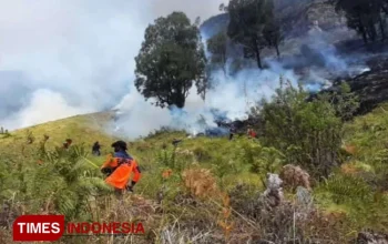 Kebakaran Hutan di Gunung Bromo: Upaya Pemadaman Diperluas