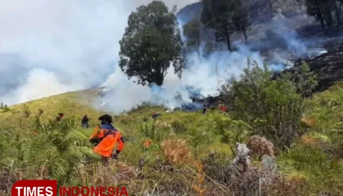 Kebakaran Hutan di Gunung Bromo: Upaya Pemadaman Diperluas