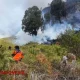 Kebakaran Hutan di Gunung Bromo: Upaya Pemadaman Diperluas