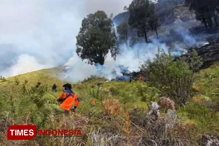 Kebakaran Hutan di Gunung Bromo: Upaya Pemadaman Diperluas