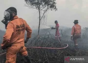 Kebakaran Hutan di Kalimantan Tengah: Ancaman dan Upaya Penanganan