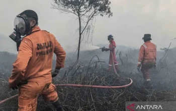 Kebakaran Hutan di Kalimantan Tengah: Ancaman dan Upaya Penanganan