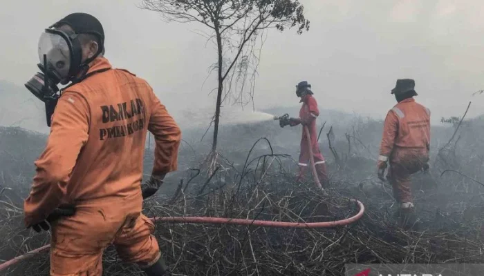 Kebakaran Hutan di Kalimantan Tengah: Ancaman dan Upaya Penanganan