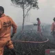 Kebakaran Hutan di Kalimantan Tengah: Ancaman dan Upaya Penanganan