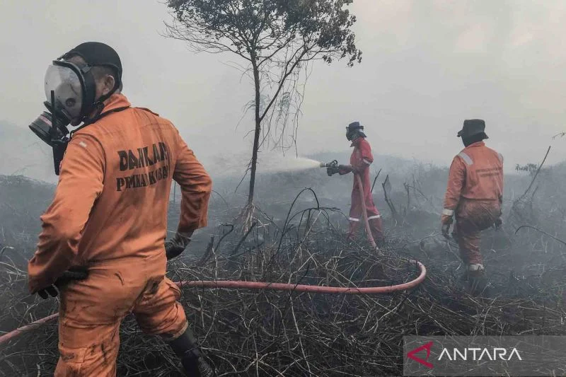 Kebakaran Hutan di Kalimantan Tengah: Ancaman dan Upaya Penanganan